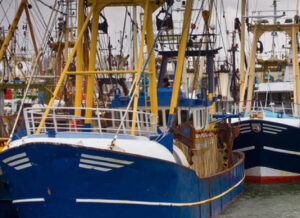 barcos de pesca de casco azul, atracados