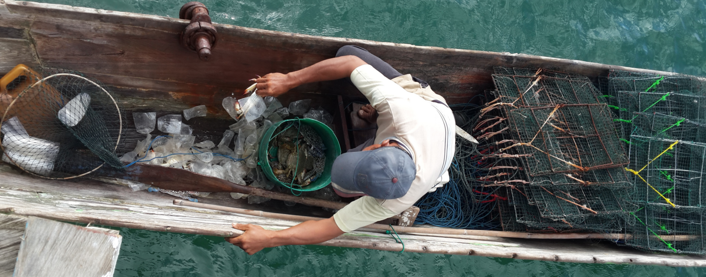 Empowering Small-Scale Fishers in Indonesia