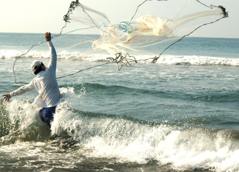 Supporting small scale fisheries
