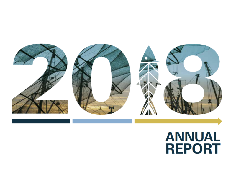 Informe anual de 2018