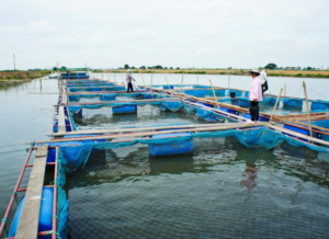Recintos de acuicultura