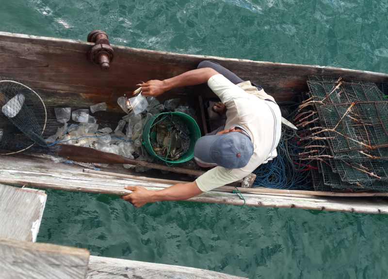 Empowering Small-Scale Fishers in Indonesia