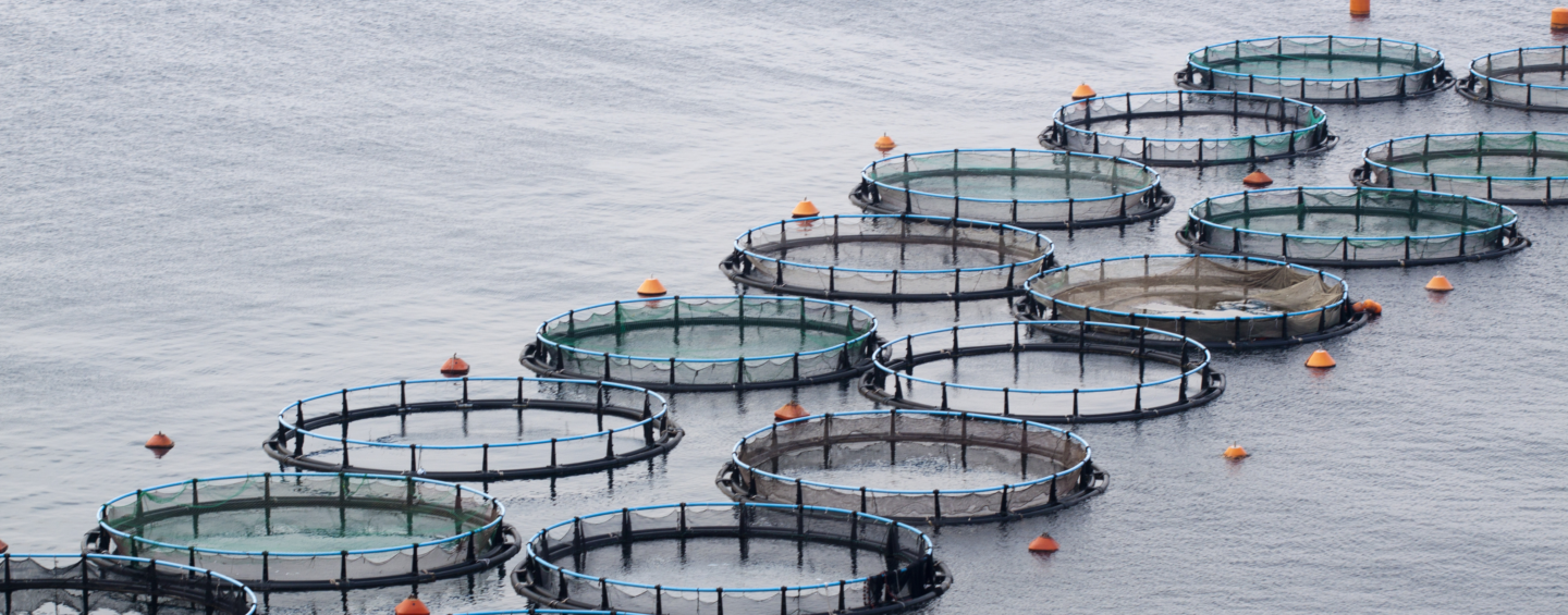 Aquaculture Pens from Aerial View