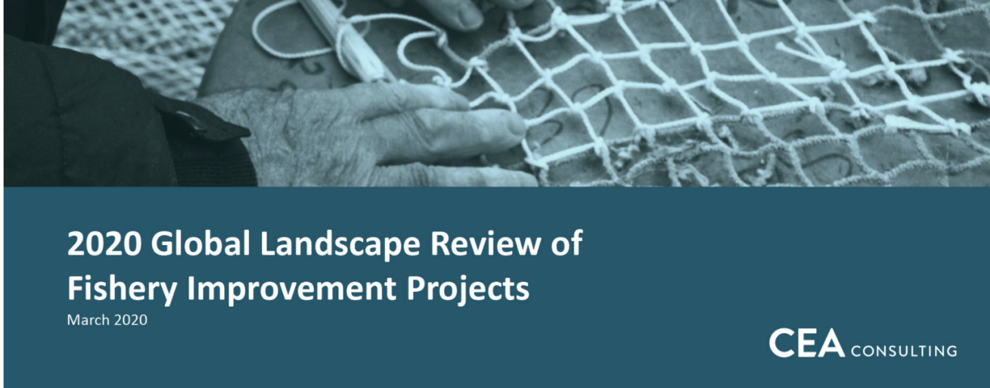 Portada del informe "Global Landscape Review of FIPs