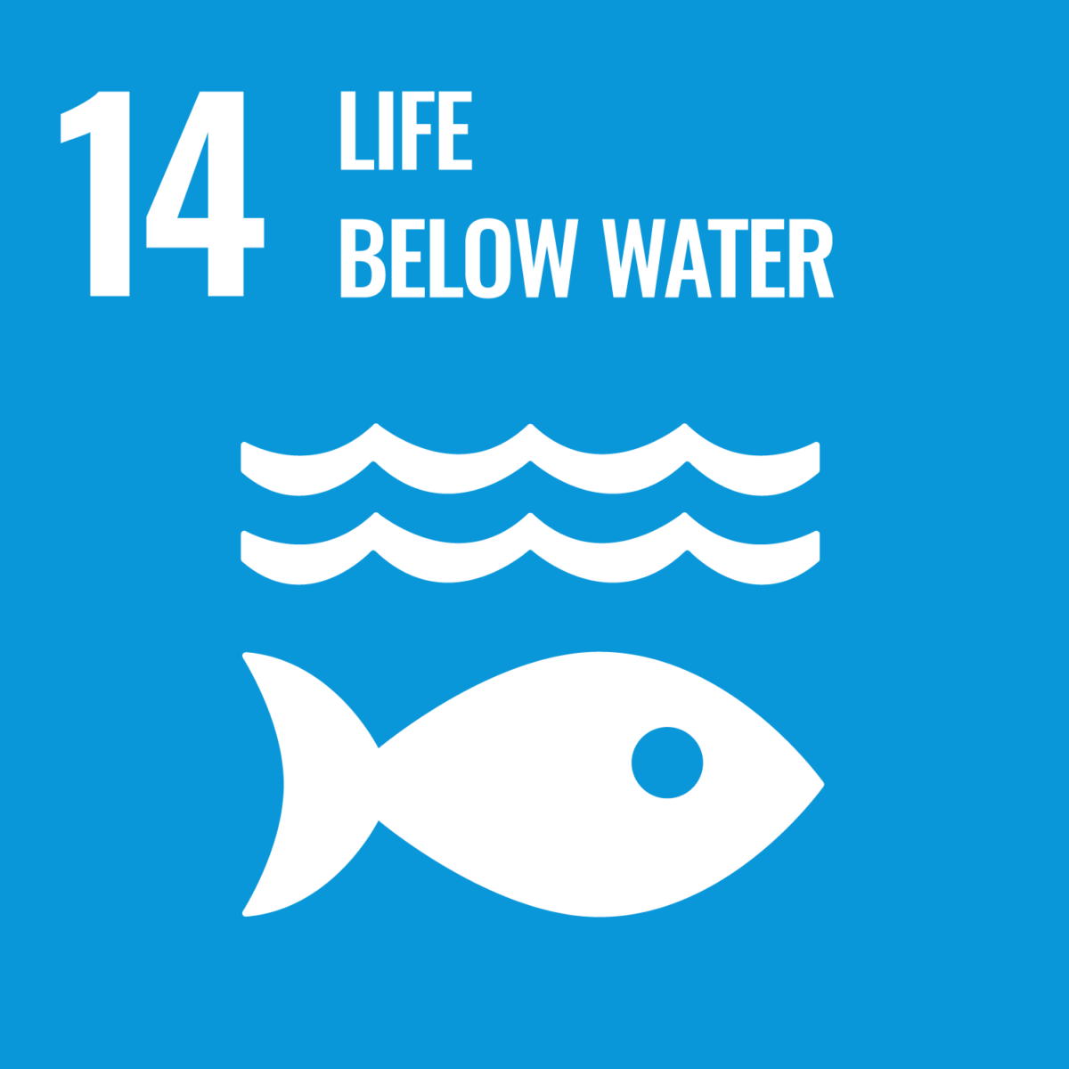 Logotipo del Objetivo de Desarrollo Sostenible 14 de las Naciones Unidas: Vida bajo el agua