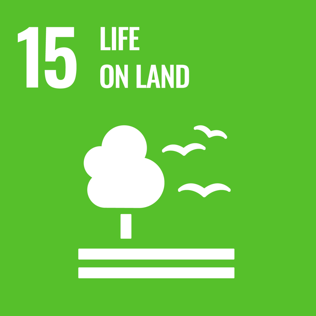 Logotipo del Objetivo de Desarrollo Sostenible 15 de las Naciones Unidas, "La vida en la tierra