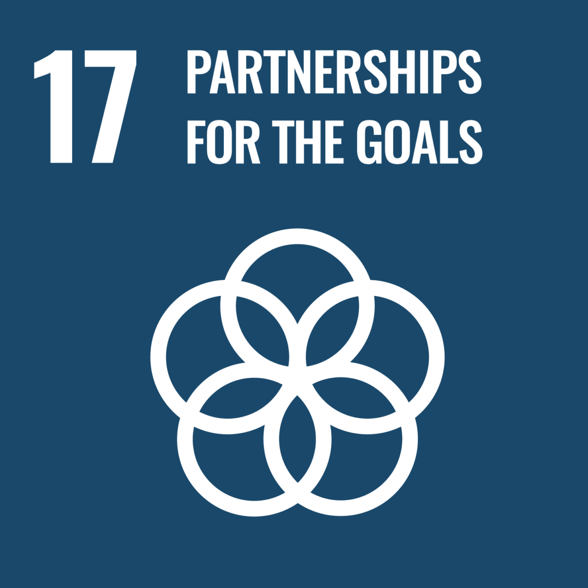 UN Sustainable Development Goal 17 Partnership for the Goals Logo