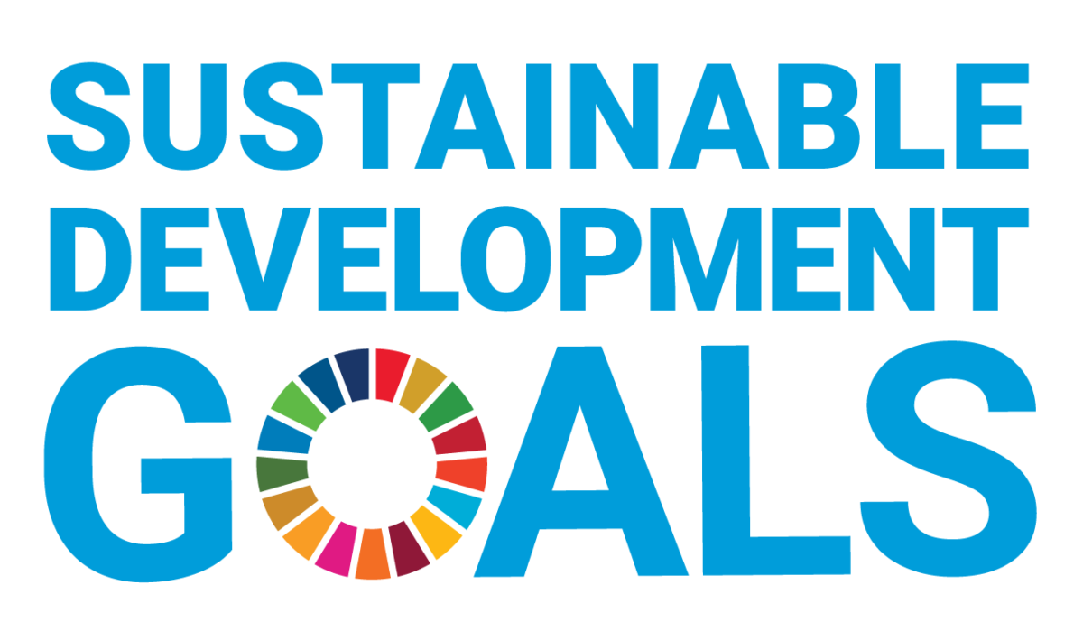 Logotipo de los Objetivos de Desarrollo Sostenible de la ONU