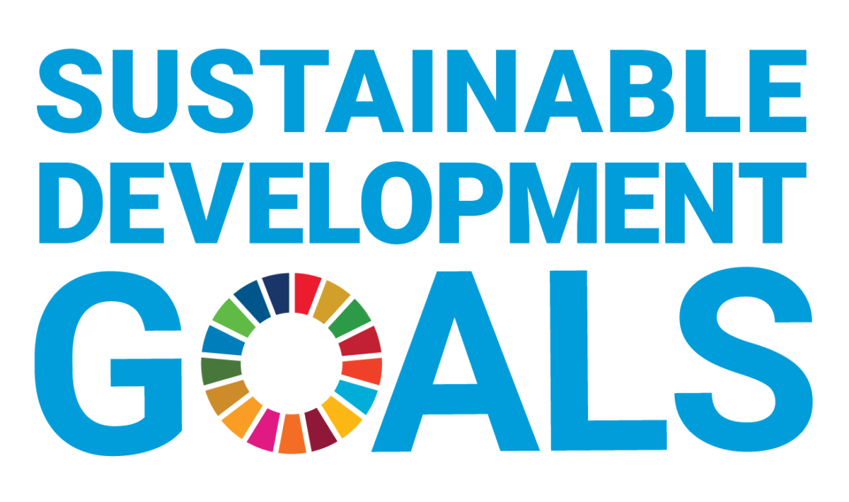 UN Sustainable Development Goals Logo