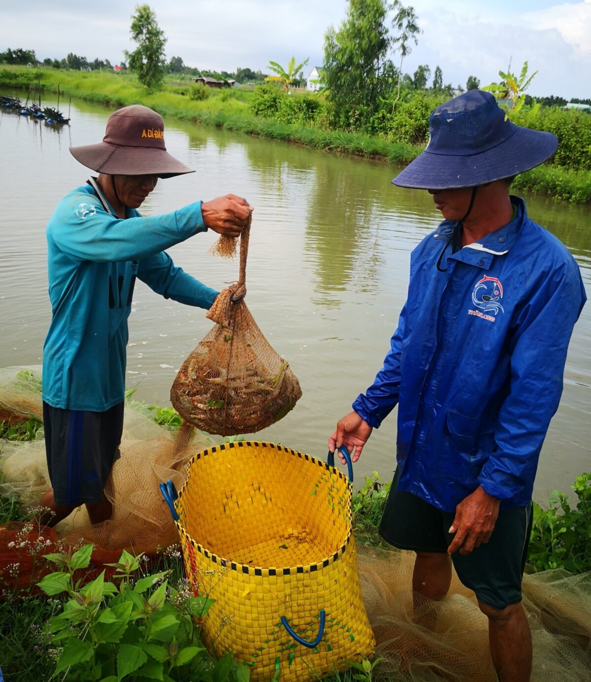 Vietnam aquaculture