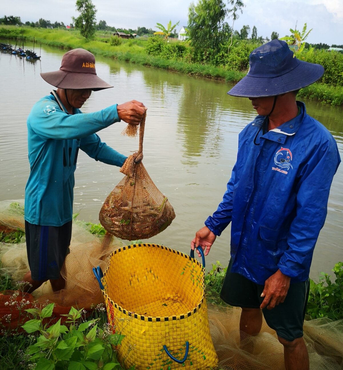 Acuicultura en Vietnam