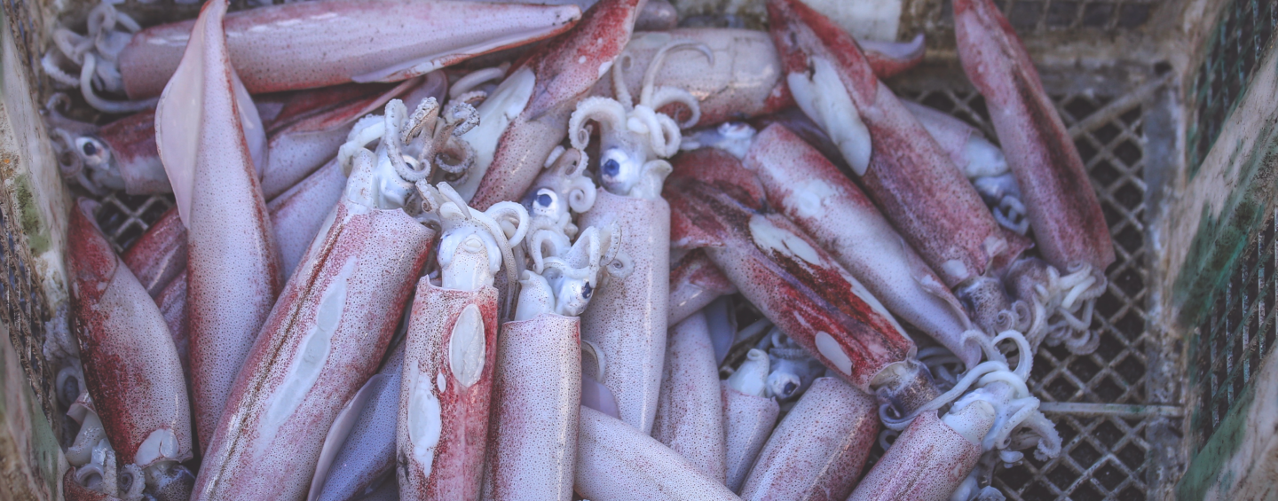 squid in crate