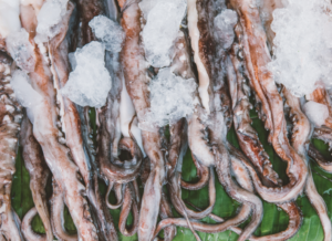 Frozen squid