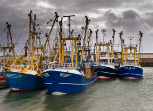 Fishing fleet in the ocean