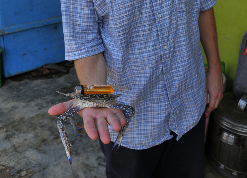 Brad holding a blue swimming crab