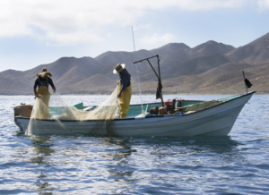 Fisherman on boat with net