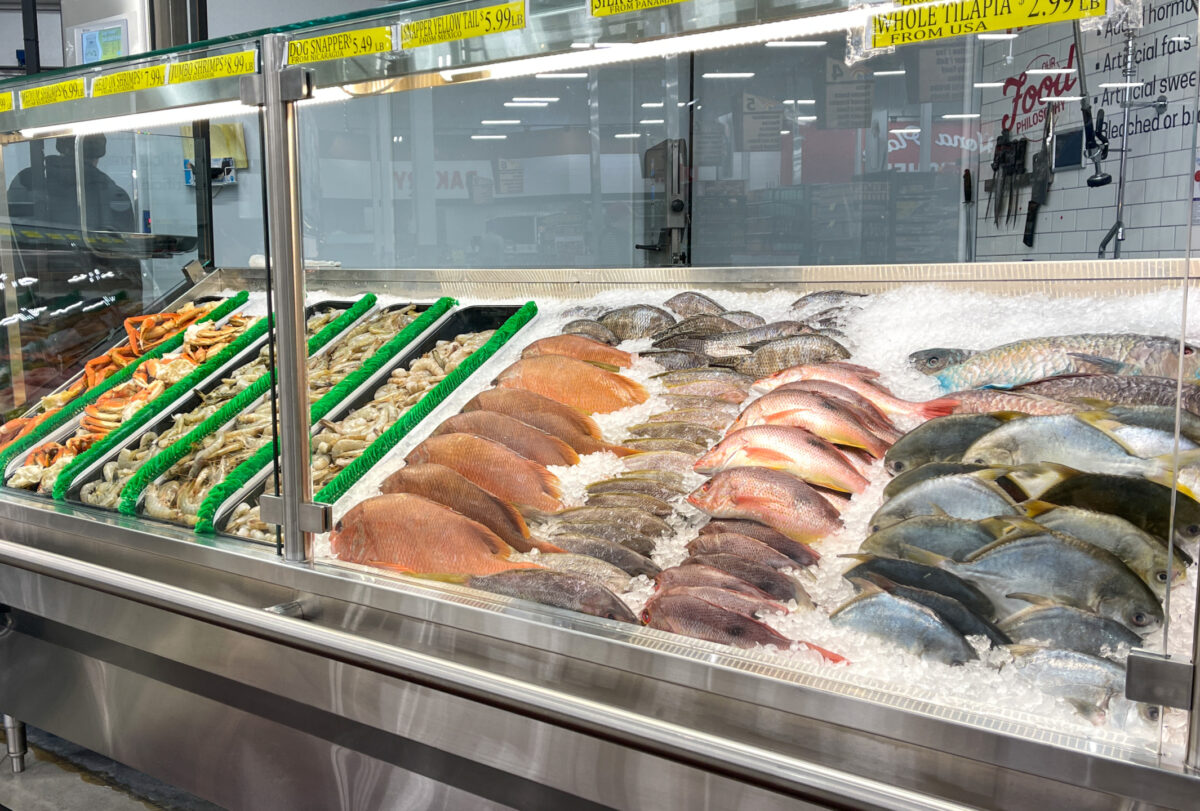 Fresh seafood counter in supermarket