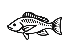 Snapper Icon