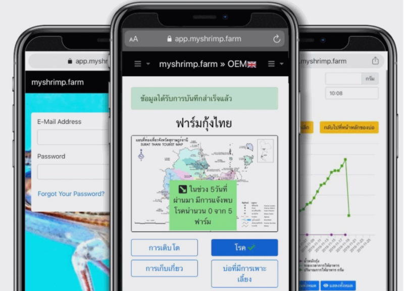 myshrimp app