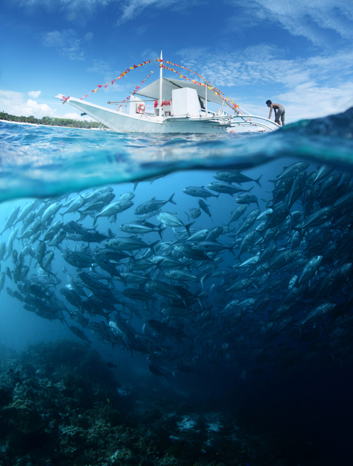 Barco de pesca