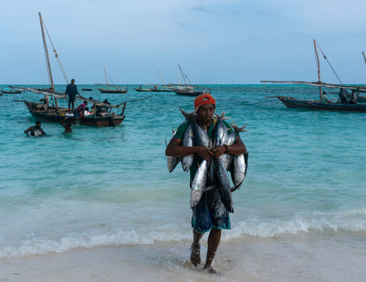 Pescador artesanal de Zanzíbar