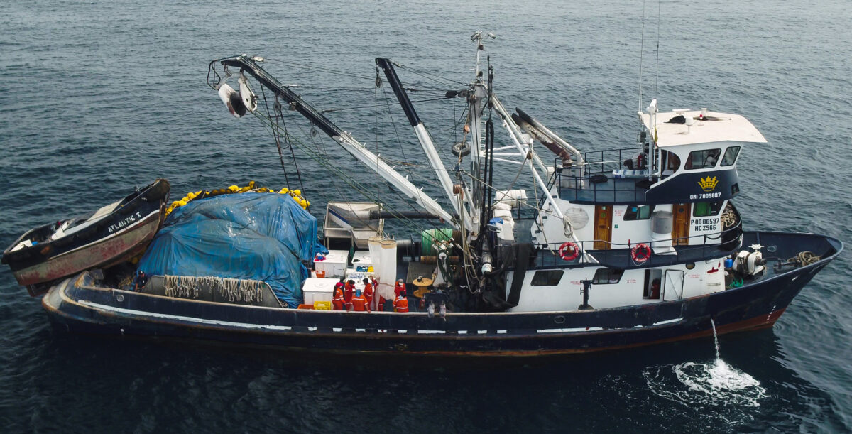 Ecuador small pelagics vessel