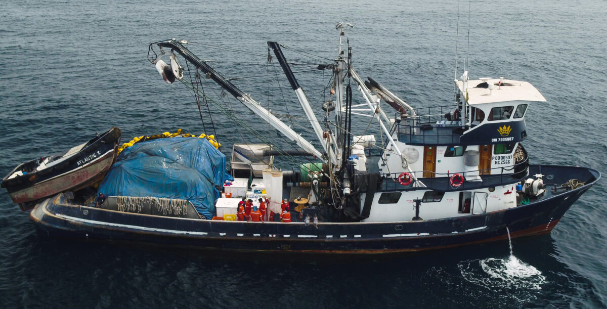 embarcacíón de pesca de pequeños pelágicos de Ecuador 