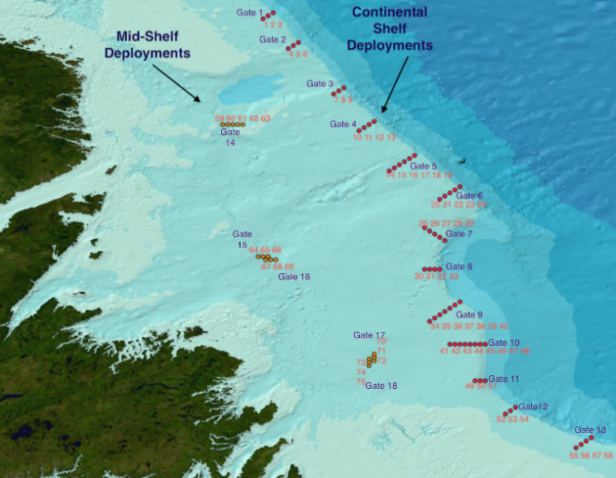 Northern Cod acoustic receivers map