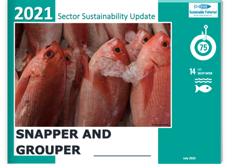 Snapper and Grouper SSU