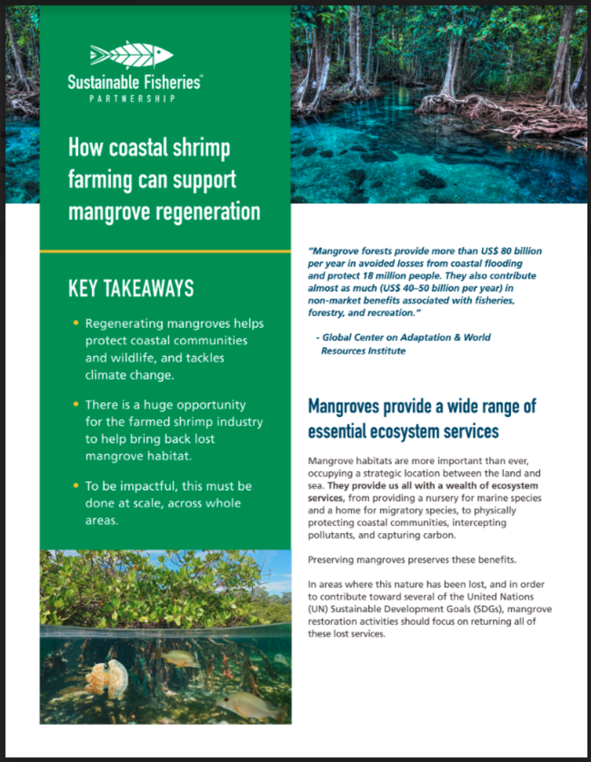 Shrimp and mangroves briefing