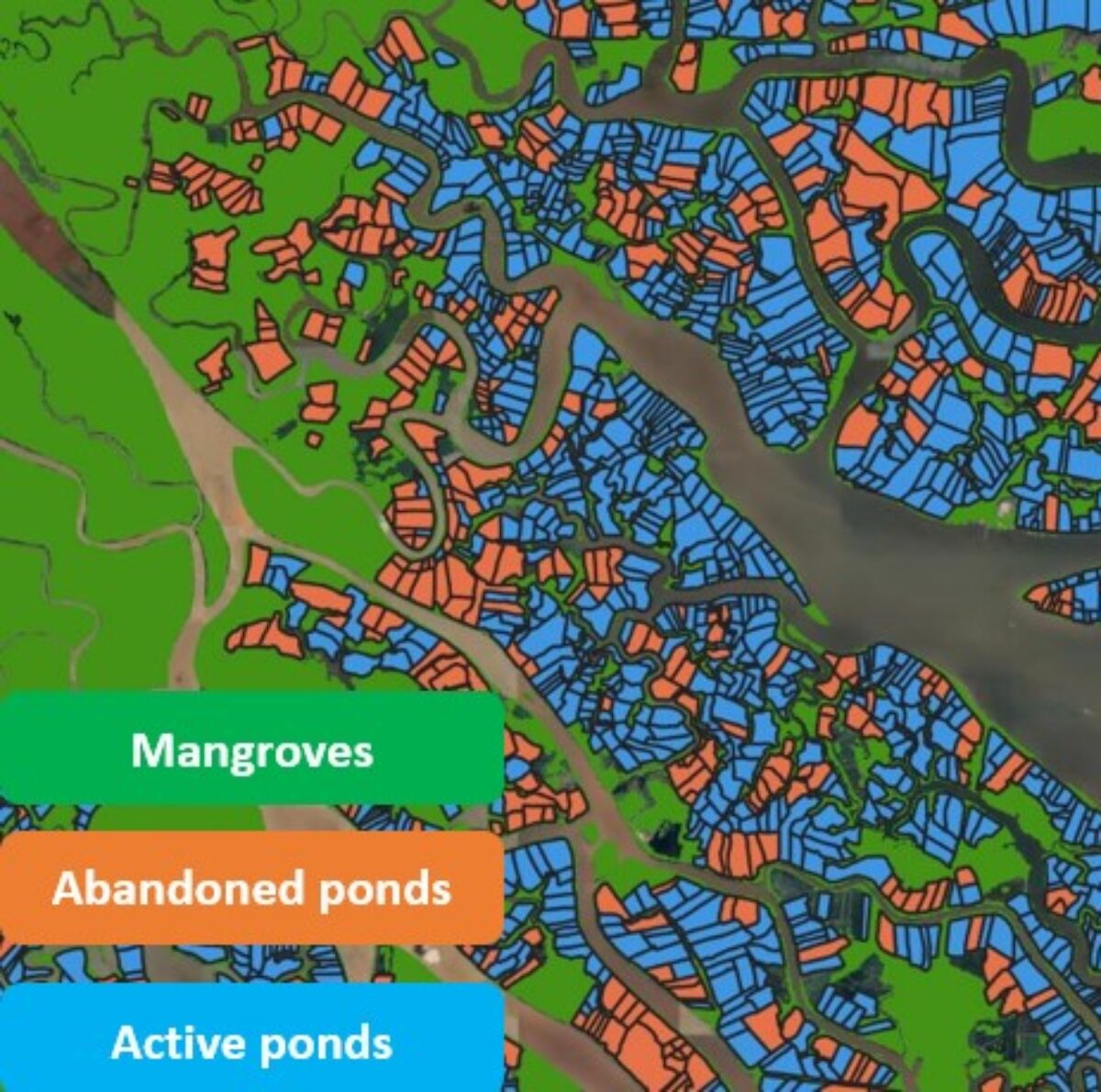mangrove mapping tool