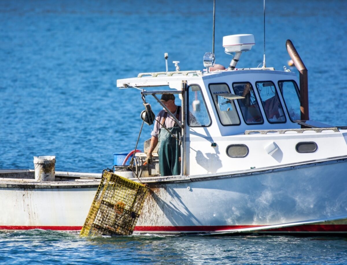Pescador de langosta en Maine subiendo a bordo su captura