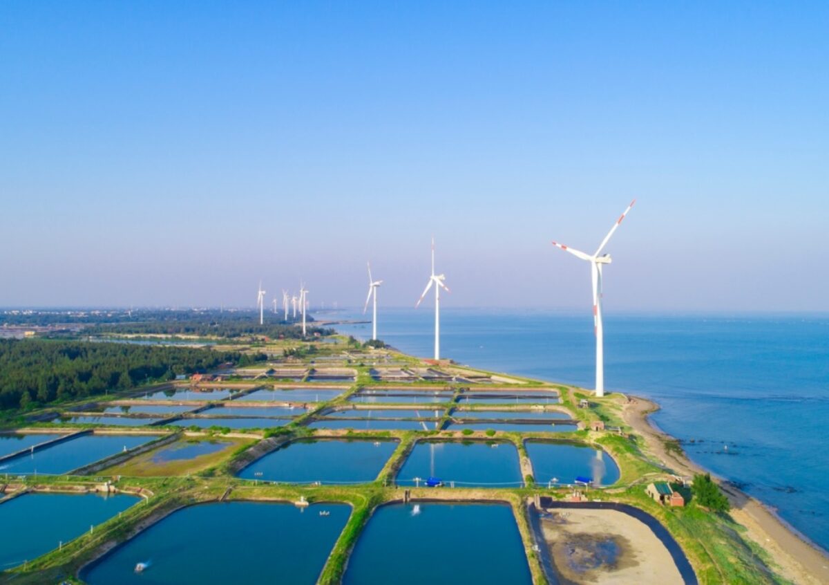 aquaculture and wind power