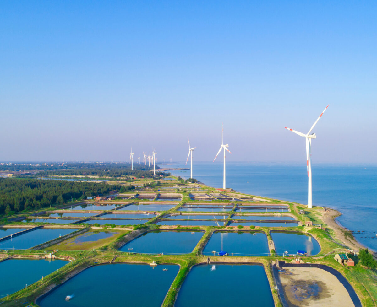 Windpower mills along the coast next to multiple aquaculture ponds