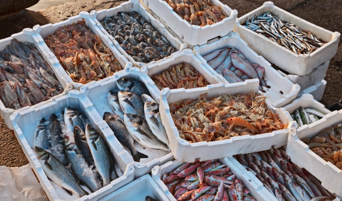 productos del mar en el muelle