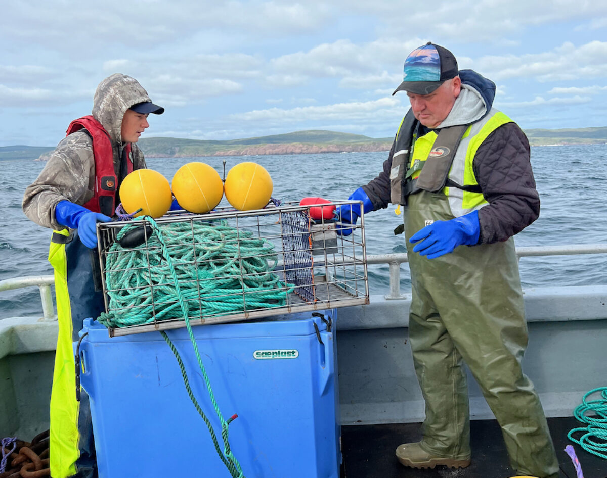 On-demand' lobster gear permitted - Island Institute