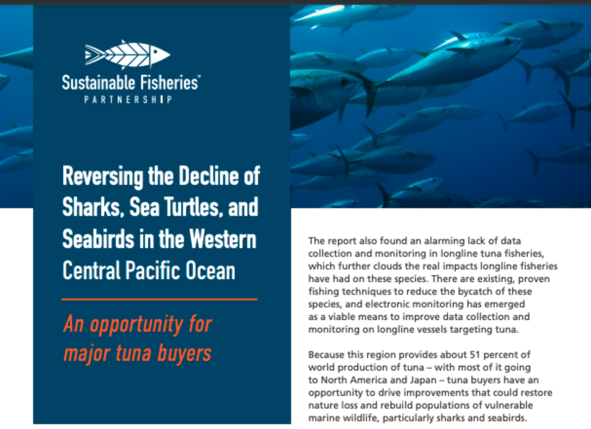 Tuna bycatch in WCPO research summary