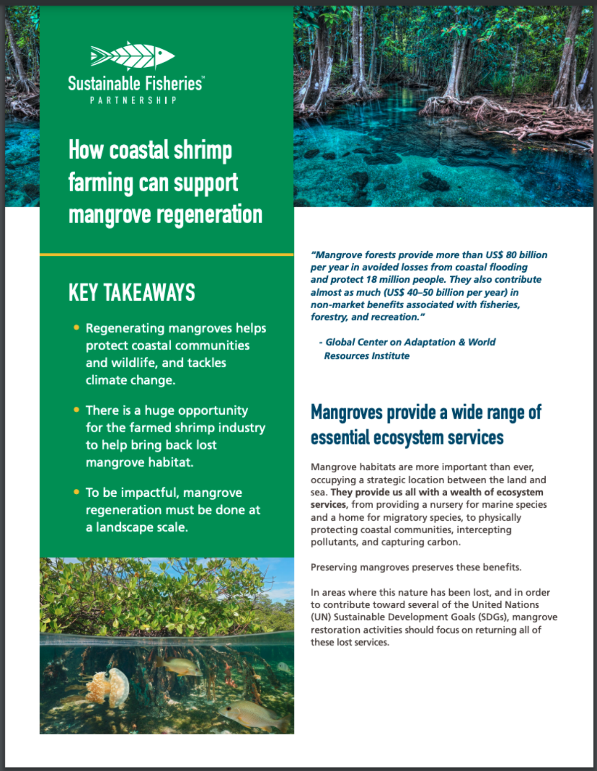 Sesión informativa sobre la cría de camarón y la regeneración de los manglares