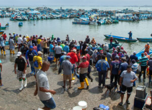 Small-scale fishers Santa Rosa