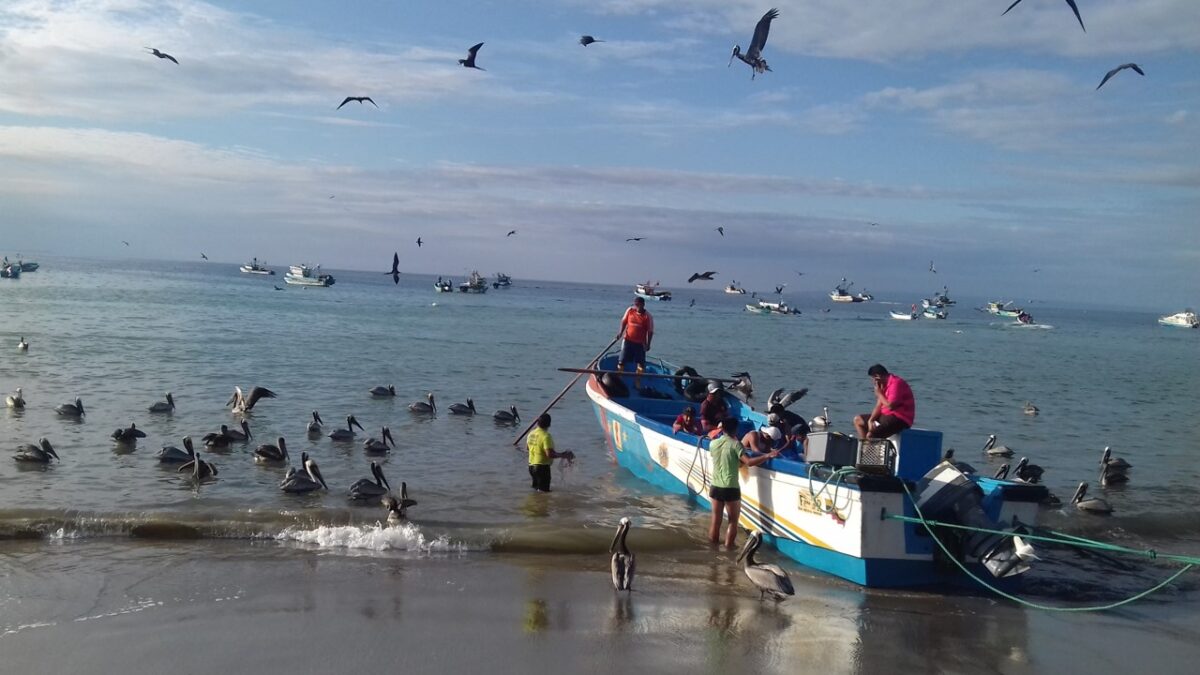 Pescadores artesanales de dorado