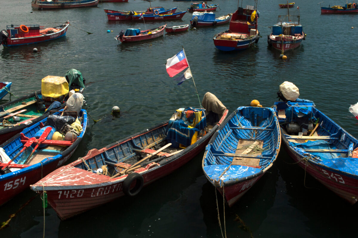 チリ小規模漁業者