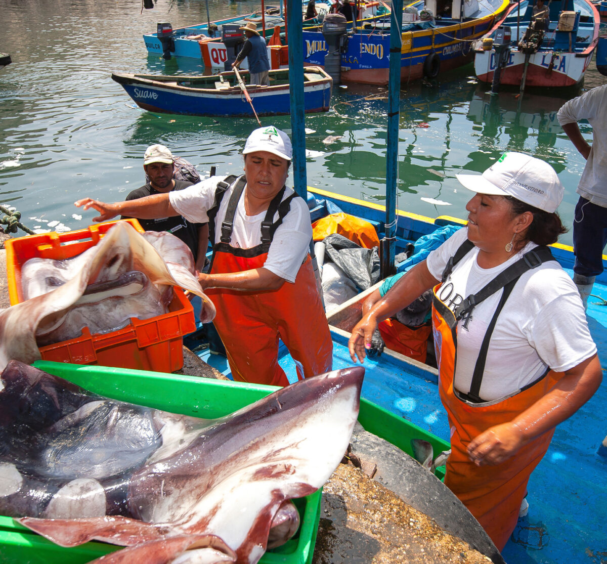 Mujeres pescando en Perú