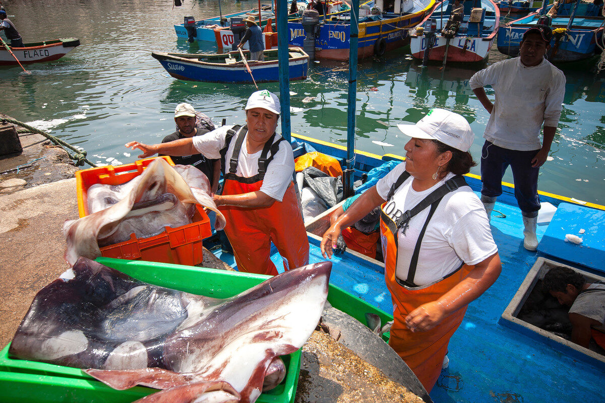 Pescadores artesanales de Perú