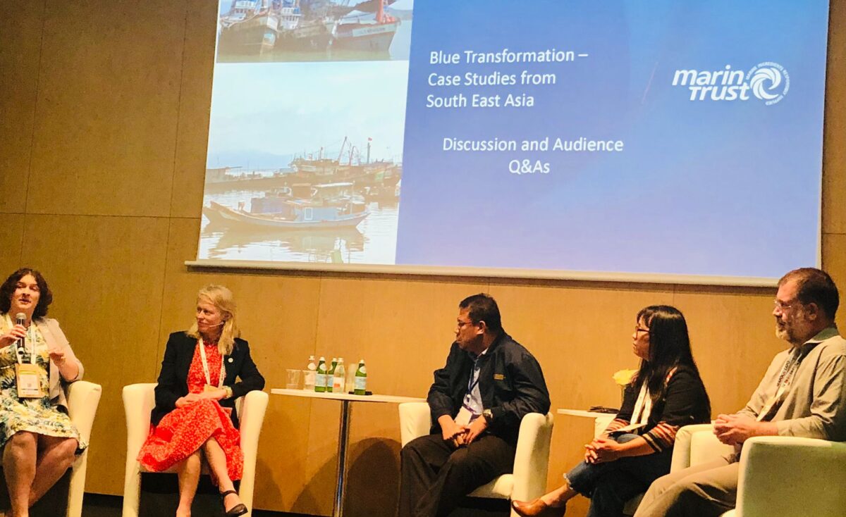 Blue transformation panel at Seafood Expo Global