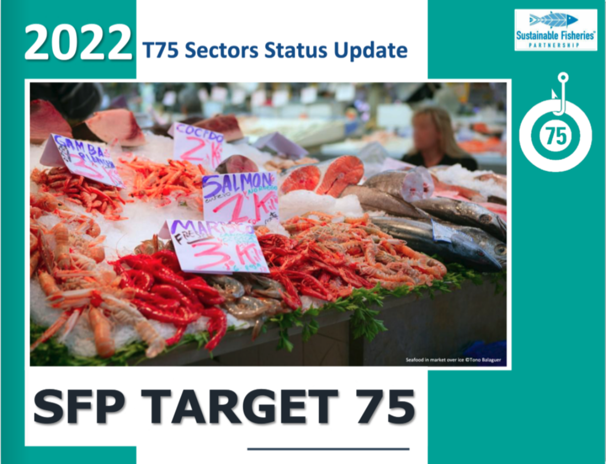 Portada del informe de actualización de la situación de los sectores de la iniciativa T75 para 2022