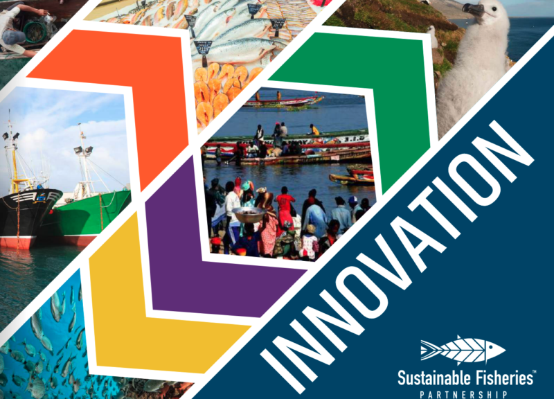 Cover of 2021-22 Annual Report: Innovation