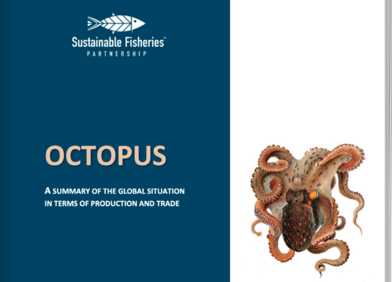 Cover of report Octopus: A Summary of the Global Situation in Terms of Production and Trade