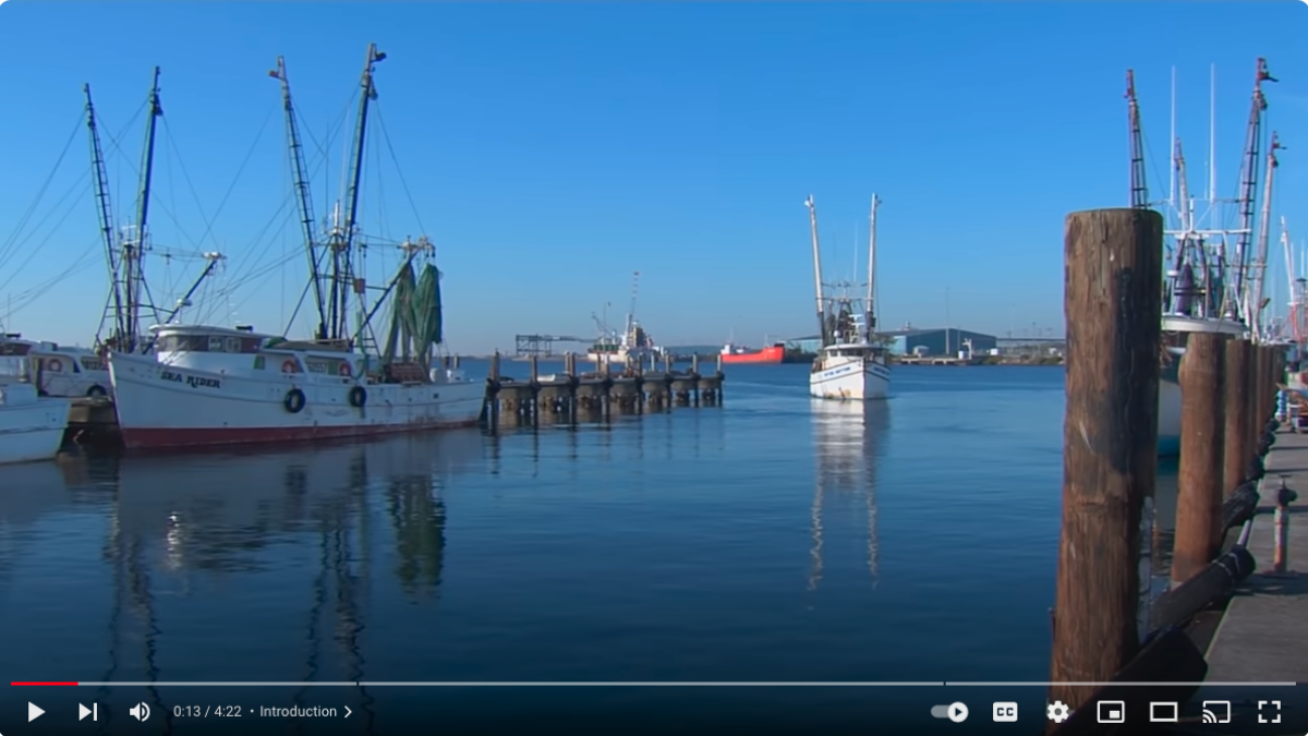 Publix video about supporting US Gulf off Mexico shrimp FIPs