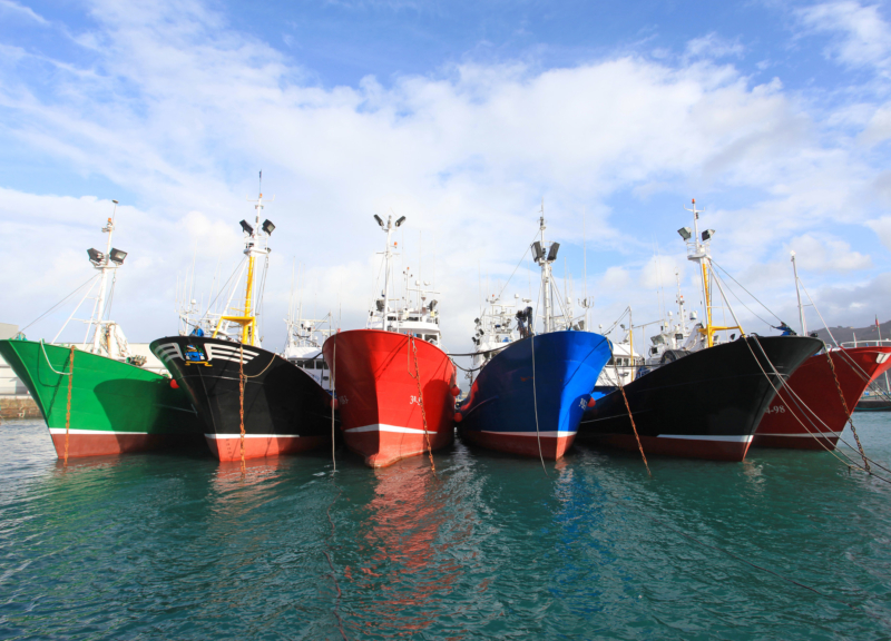 Barcos de pesca de colores