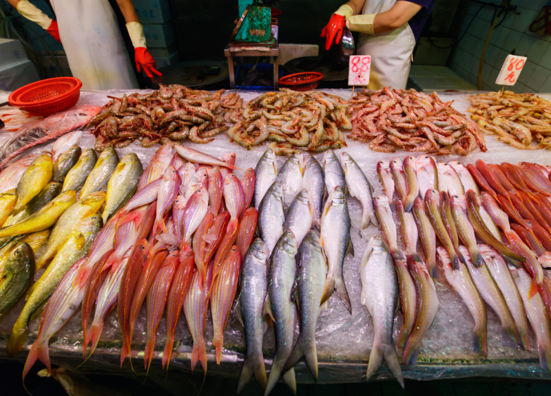 香港の海鮮市場で新鮮な魚を買う